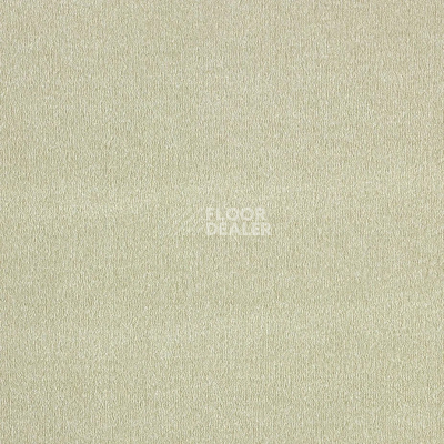 Ковролин AW Sentiment 20 фото 1 | FLOORDEALER